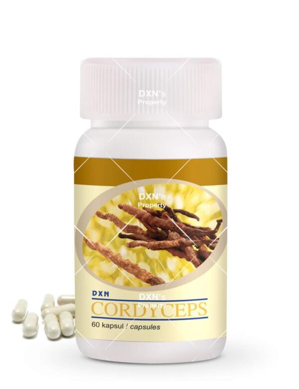 CORDYCEPS (60 TABS)